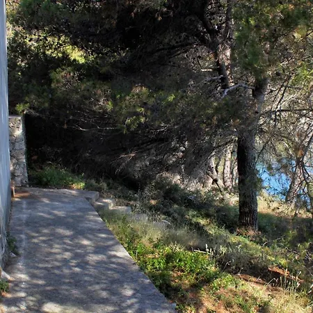 By The Sea Savar, Dugi Otok - 892 *